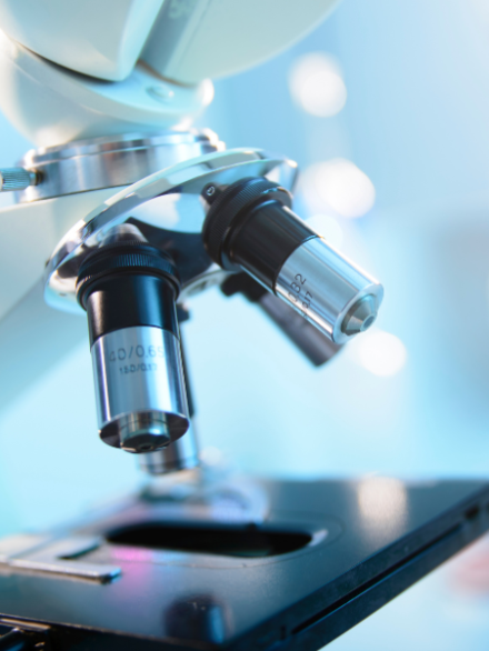 Untitled design (46)